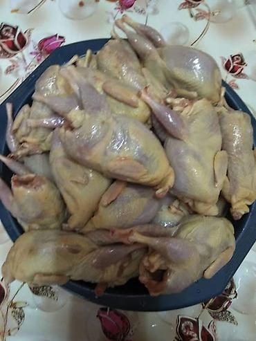 Перепела для гриля и шашлыка мясистые тушки. Центр города! at lalafo.kg Перепела для гриля и шашлыка мясистые тушки. Центр города!
