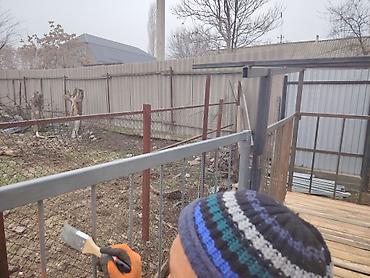 Товары и оборудование для с/х животных: Койкана койго жана козуга ылайыкташкан краскасын кылып берем 8 баш — 2