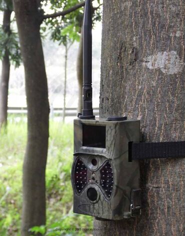 Kamere za video nadzor: Kamera za vocnjake, vikendice, pcelare, lovista HC 300M Kamera za — 2