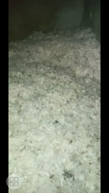 Balışlar, yastıqlar: Yuxu üçün Yeni Yastıq, Ödənişli çatdırılma — 2