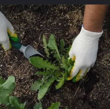 Другие услуги: Сделали ландшафтный дизайн? Нужно поддерживать его в идеальном — 5
