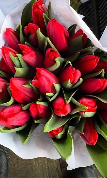 Букеты из живых цветов: 🌷 ТАКОЙ ЦЕНЫ В КЫРГЫЗСТАНЕ НЕТ 🌷 Голландские тюльпаны — 100 сом от 10 — 9