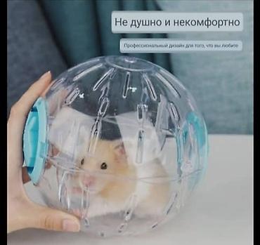 Бесшумный спортивный шар для бега домашних питомцев. Описание: - — 3