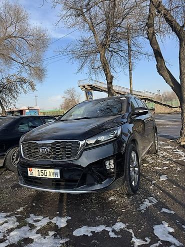 Kia: Kia Sorento: 2019 г., 2 л, Автомат, Дизель, Кроссовер — 2