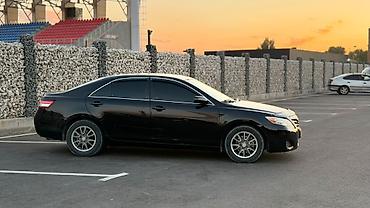 sliv pantera: Toyota Camry: 2009 г., 2.5 л, Автомат, Бензин, Седан — 2