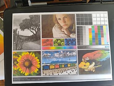 Принтеры: Струйное МФУ Epson L3070 с системой непрерывной подачи чернил (Ink — 7