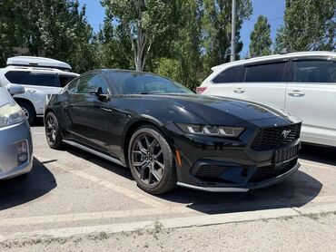 купить форд транзит 2 0 дизель: Ford Mustang: 2023 г., 2.3 л, Типтроник, Бензин, Купе