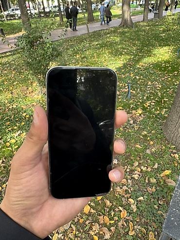 Apple iPhone: IPhone 15 Pro, Б/у, 256 ГБ, Белый, Чехол, 86 % — 6