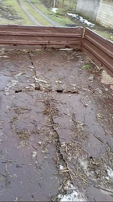 Lapetlər: SƏNƏDİ YOXDU — 6