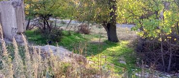 продом дом: 8 соток, Для строительства, Красная книга