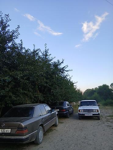 1221 2: Mercedes-Benz W124: 1989 г., 2.3 л, Механика, Бензин, Седан — 2