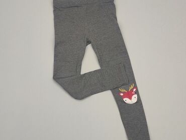 spódniczki tiulowe dla dziewczynek allegro: Legginsy dziecięce, 5-6 lat, 116, stan - Dobry