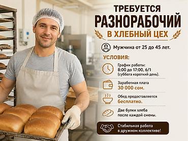 Требуется сотрудник: Оплата: Ежемесячно at lalafo.kg Требуется сотрудник: Оплата: Ежемесячно