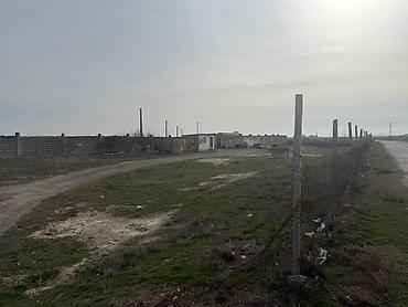 torpaq binə: Mal-qaranın saxlanışı və heyvandarlıq üçün təsərrüfat sahəsi və — 4