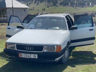Audi: Audi 100: 1989 г., 1.8 л, Механика, Бензин, Универсал