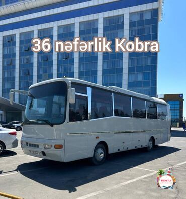 baki istanbul avtobus reysleri: Avtobus | 36 oturacaq
