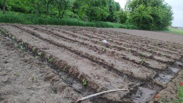 Продажа домов: Дом, 72 м², 4 комнаты, Собственник — 14