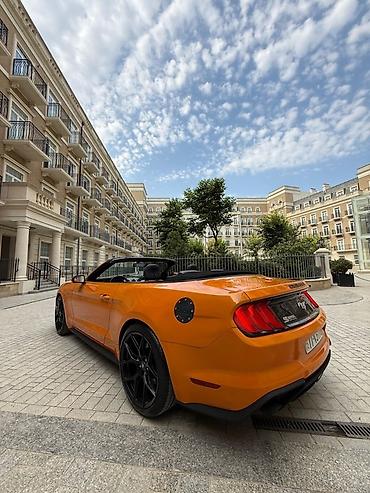 Nəqliyyat vasitəsinin icarəsi: Kia — 18