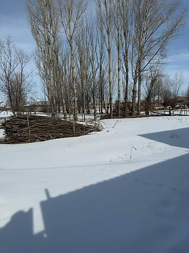 Продажа участков: 20 соток, Для бизнеса, Красная книга — 8