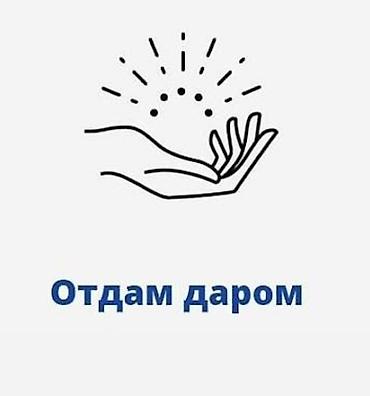 Отдам вещи даром Вещи, которые мы уже не носим, но, возможно at lalafo.kg Отдам вещи даром Вещи, которые мы уже не носим, но, возможно