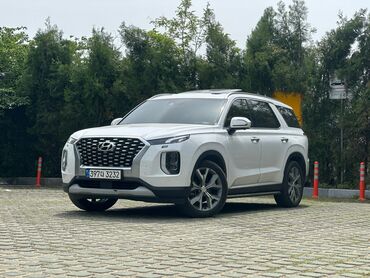 капият: Hyundai Palisade: 2020 г., 2.2 л, Дизель, Кроссовер