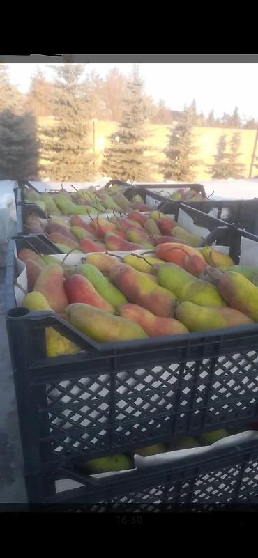 Ящики: Ящик, Новый — 15