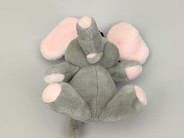 М'які іграшки: М'яка іграшка Слон, стан - Дуже гарний