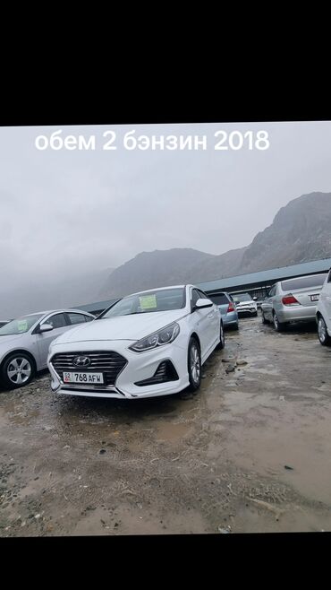 hyundai stellar: Hyundai Sonata: 2018 г., 2 л, Автомат, Бензин, Седан