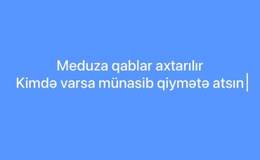 Qab-qacaq və mətbəx ləvazimatlarının alışı: Meduza qabları axtarılır. Kimdə varsa, münasib qiymət təklifi