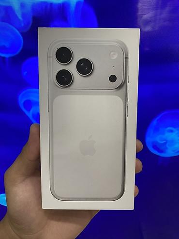 Apple iPhone: IPhone 17 Pro, Б/у, 256 ГБ, Серебристый, Зарядное устройство, Защитное стекло, Чехол, 100 % — 9