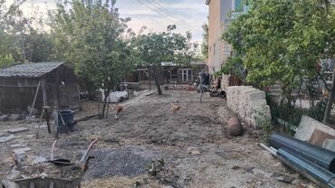 sumqayit makler nomresi: Maklerlər narahat etməsin
