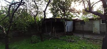 Həyət evləri və villaların satışı: Şəki şəhər Sabit Rəhman küç. dal6/8 — 14