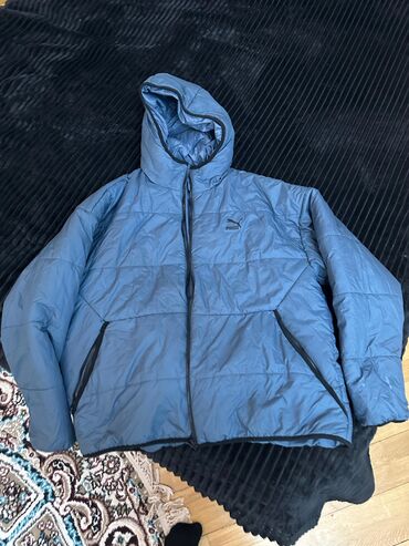 göy rəngli qış üçün kişi gödəkçəsi: Kurtka, Bolonka, Qış, Puma, XL (EU 42)