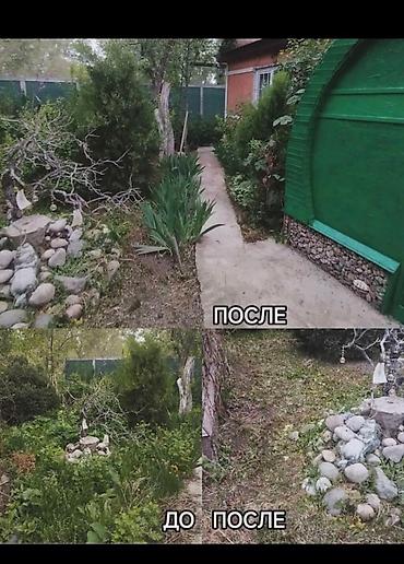 Уборка территории: Уборка территории, Уборка двора и сада — 21