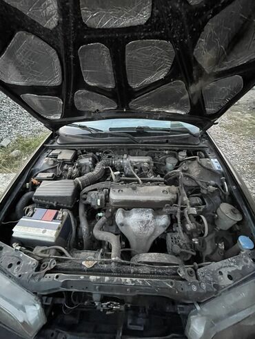 Honda: Honda Accord: 1996 г., 1.8 л, Механика, Бензин, Седан — 10