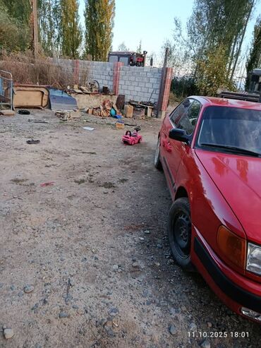 Audi: Audi 100: 1991 г., Седан — 4