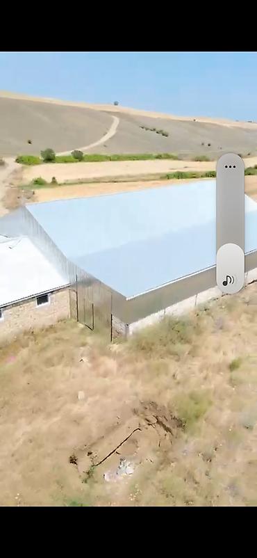 şirvanda torpaq: 700 sot, Kənd təsərrüfatı, Kupça (Çıxarış) — 3