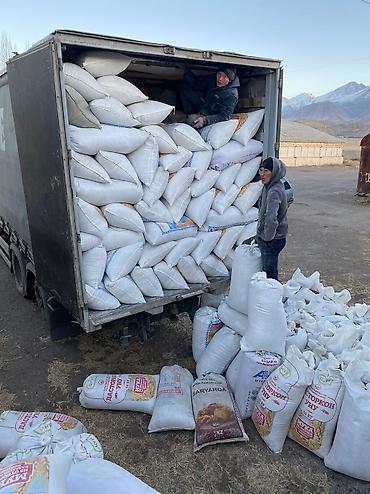 Sainfoin seeds: Семена беде урук Эксцпарсет жугору сулуу арпа урук бар месный баарына — 3