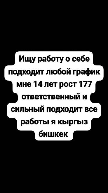 маляр ош: Номер — 1