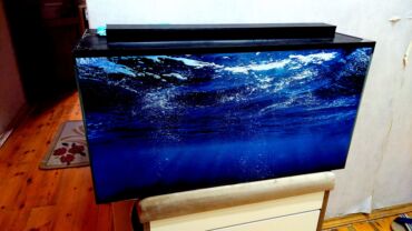 купить аквариум в баку: Прямоугольный аквариум, Пустой, 150 л, Самовывоз