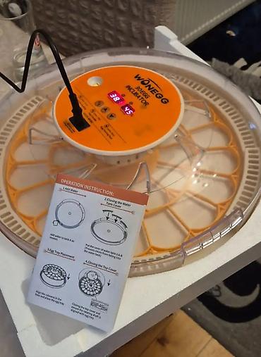 tap az inkubator satışı: Inqibator aparati 30yumurtaliq ozu firlanir 3defe istifade elemisem — 2