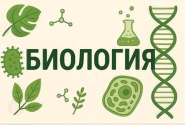 Repetitorlar: Repetitor, Biologiya, Rus dili, İmtahanlara hazırlıq