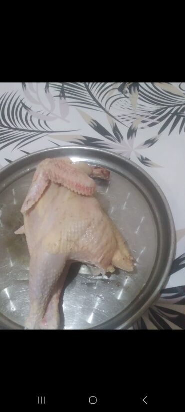 Toyuqlar: Toyuq, Liqorin, Yumurtalıq, Ünvandan götürmə -da lalafo.az — 7 Toyuqlar: Toyuq, Liqorin, Yumurtalıq, Ünvandan götürmə — 7