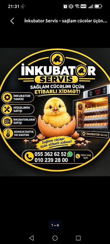 inkubator cucesi: İnkubator Servis – sağlam cücələr üçün etibarlı xidmət Təklif olunan — 1