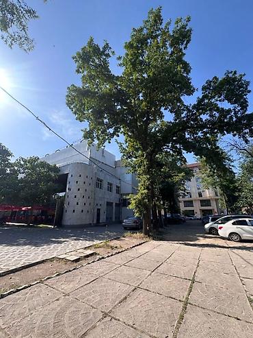 Коммерциялык мүлк: Коммерческое помещение 1700 м² в «золотом квадрате» Бишкека Локация — 5