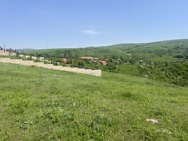 Torpaq sahələrinin satışı: 6 sot, Tikinti, Makler, Kupça (Çıxarış) — 3