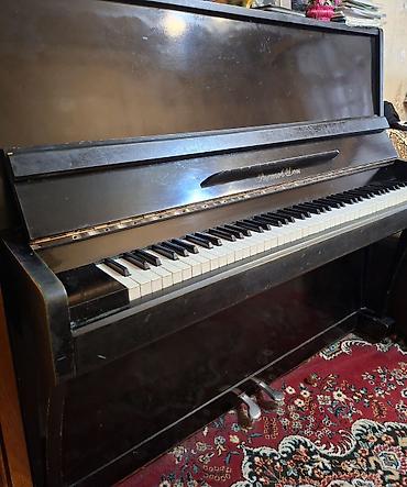 Pianolar: Piano, Rostov-Don, Akustik, İşlənmiş, Ünvandan götürmə — 3