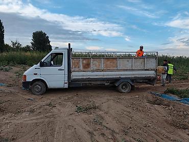 фолсфаген лтд 35 46: Грузовик, Volkswagen, Стандарт, Б/у — 1