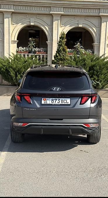 незамерзайка для машины: Hyundai Tucson: 2022 г., 1.6 л, Автомат, Гибрид, Кроссовер — 7