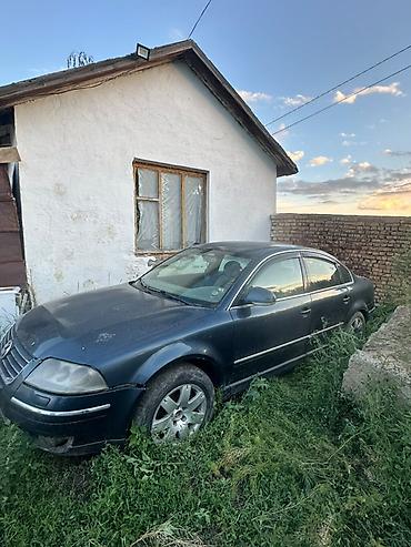 эндоскопия авто: Volkswagen Passat: 2003 г., 2.5 л, Автомат, Дизель, Седан — 4